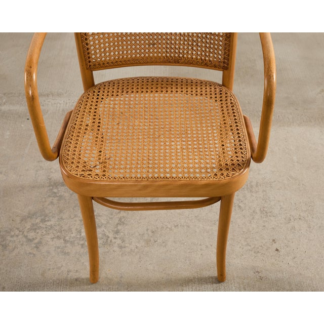 Set of Four Thonet Prague Bentwood Armchairs by Josef Hoffman For Sale - Image 11 of 18