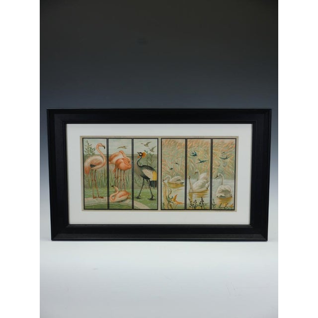 Victorian Mechanical Chromolithographs: The Avian Collection By Emrik & Binger (London & Holland) An exquisite pair of...