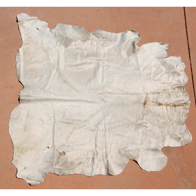 Hand-Crafted White Cowhide Rug from Argentina, Folk Art Style, 1980 For Sale - Image 10 of 18