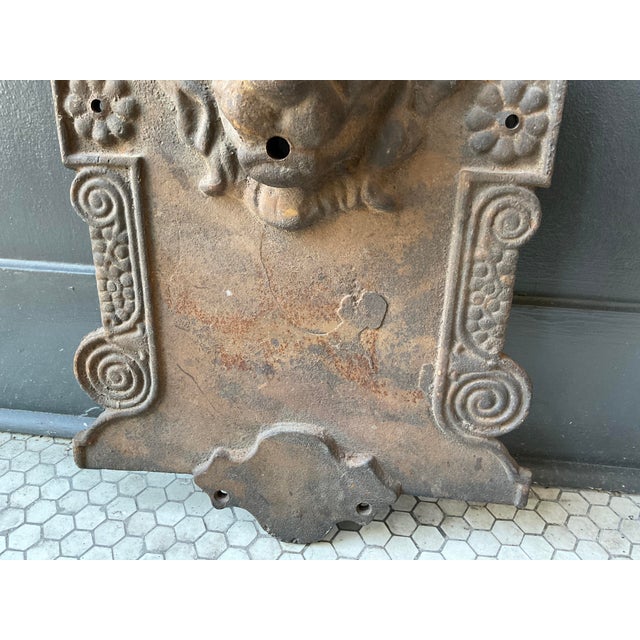Early 20th Century Cast Iron Lion Architectural Fountain Back For Sale In Raleigh - Image 6 of 17