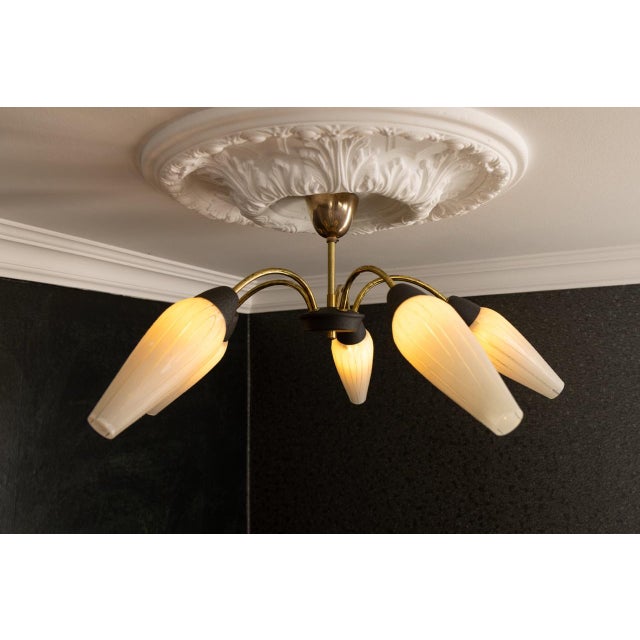 Mid-Century Modern German Sputnik Chandelier, 1950s For Sale - Image 14 of 18
