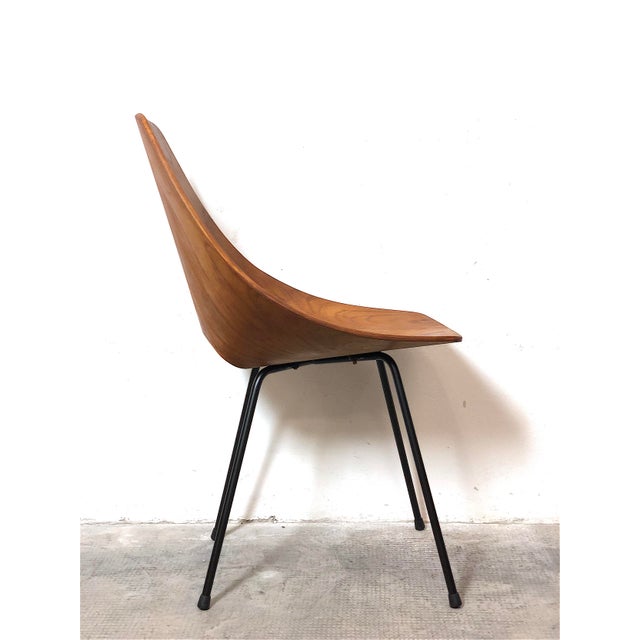 Curved Plywood Chairs by Vittorio Nobili, Italy, 1950s, Set of 2 For Sale - Image 13 of 18