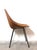 Curved Plywood Chairs by Vittorio Nobili, Italy, 1950s, Set of 2 For Sale - Image 13 of 18