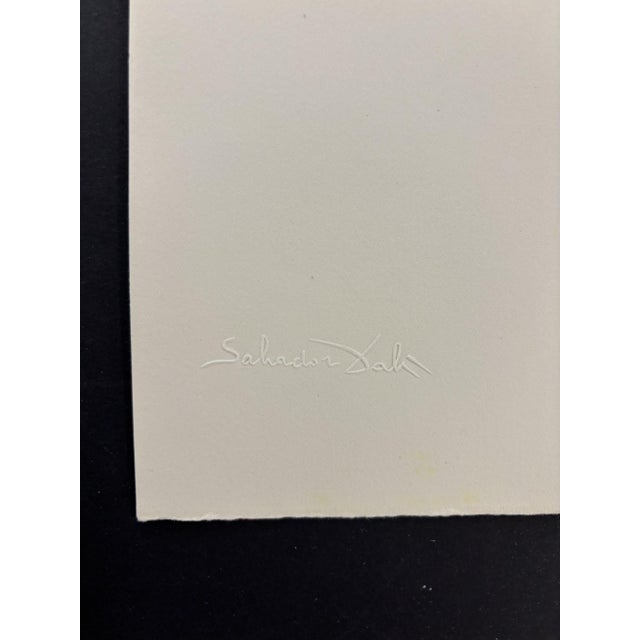 Salvador Dali "Space Elephant" Etching, 1971 For Sale - Image 10 of 10