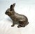 Metal Antique 1920's Cast Iron Bunny Rabbit Animal Still Coin Bank – A.c. Williams For Sale - Image 7 of 9