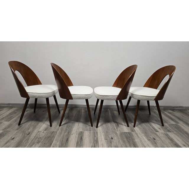 Textile Dining Chairs from Antonin Suman, 1960s, Set of 4 For Sale - Image 7 of 10