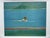 Limited edition print Swimmer (2023) by Gideon Appah, numbered 12/75 and hand-signed by the artist, printed in London, UK....