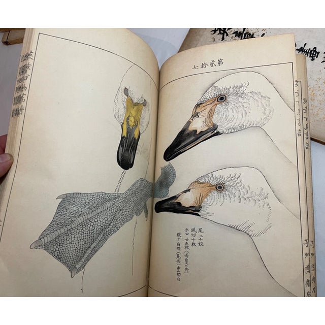 1914 Antique Japanese Eisho Hyakucho Gafu Tsuchida Eisho Birds Woodblock Prints For Sale In New York - Image 6 of 18