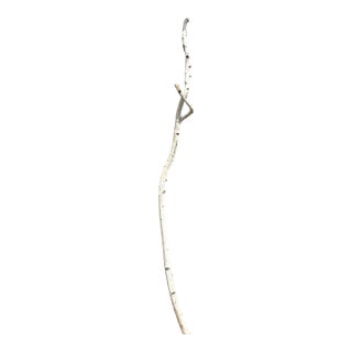 Birchwood Branch Piece for Decoration, Style I For Sale
