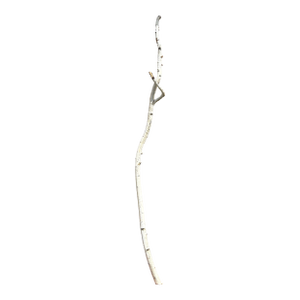 Birchwood Branch Piece for Decoration, Style I