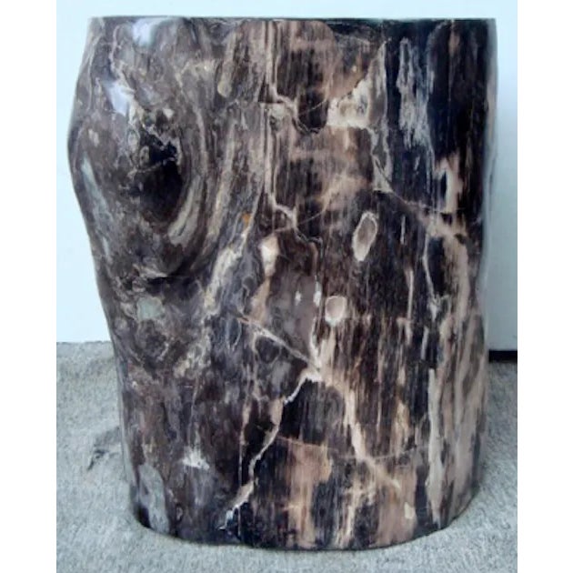 Organic Petrified Wood Stump #725 (Mahogany) - Supellex For Sale - Image 4 of 4