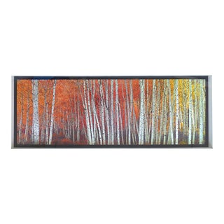 Peter Lik "Harmony" Fine Art Photograph of Aspen, Co For Sale