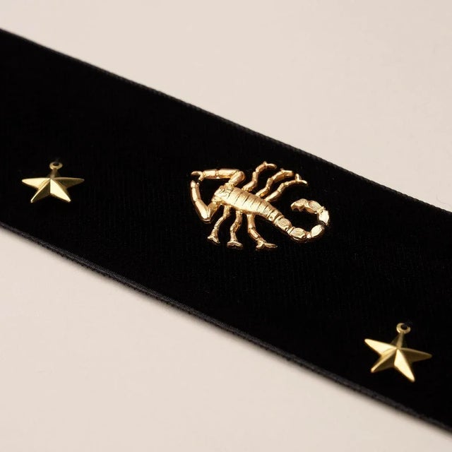 Schumacher SAMPLE - Schumacher x Charlap Hyman & Herrero / Pilar Almon Carmen Velvet Tape Trim In Black For Sale - Image 4 of 5