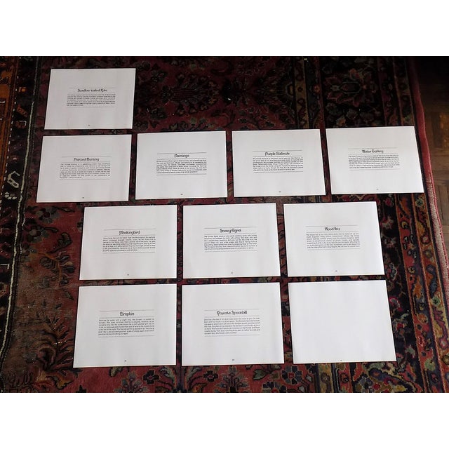 Vintage Charley Harper Modernist Abstracted Bird Lithographs (10.75" X 8.25") - Set of 10 Southern Birds For Sale - Image 11 of 18