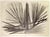 Hans Hartung, Untitled, L112, 1963, Lithograph For Sale
