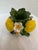 Capodimonte Lemon Candles Holders, Set of Two For Sale - Image 12 of 12