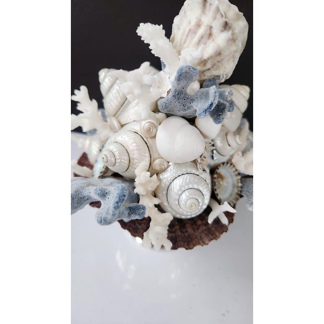 Contemporary Handmade Coastal Seashell Sculpture – Seashell & Blue Ridge Coral Arrangement For Sale - Image 3 of 15