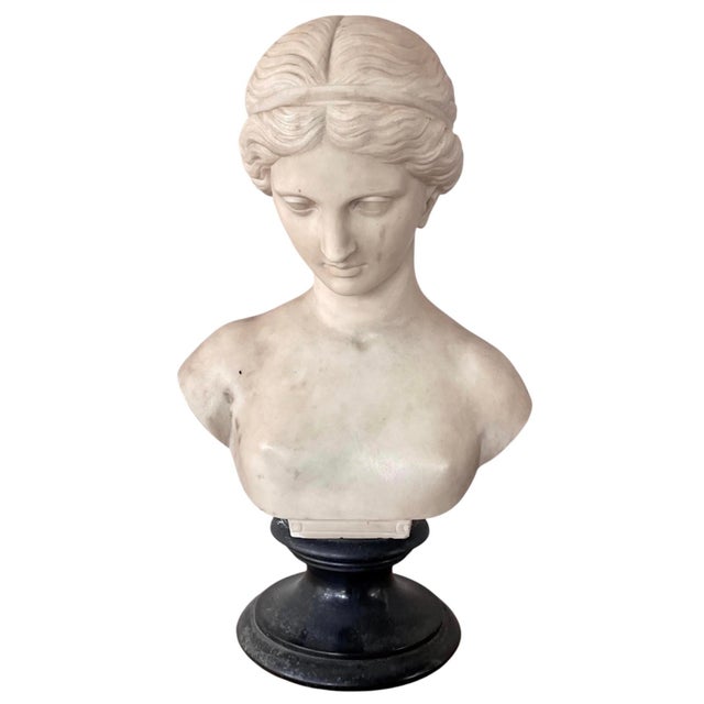 Italian Carved Marble Bust of a Young Woman For Sale - Image 9 of 16