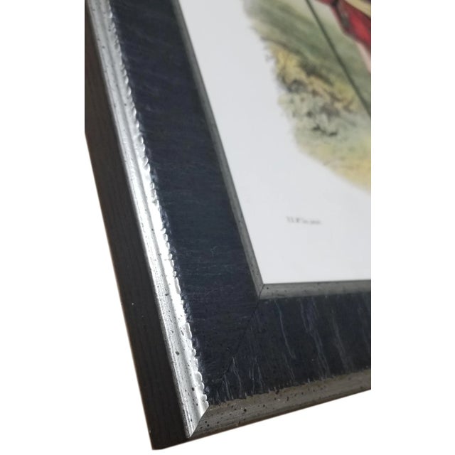 Scottish Highlander Grouping With Map and Crests Framed in Black Wood Veneer With Silver Edges - Set of 15 For Sale - Image 10 of 13