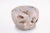 Contemporary Bleached White Teak Root Accent or Side Table or Stool 26 For Sale - Image 3 of 4