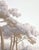 Not Yet Made - Made To Order 36" * H96" * 2ps, Hand-Painted French Retro Tropical Garden White Peacock Wall Mural, Low-Saturation Misty Scenic Wall Covering For Sale - Image 5 of 5