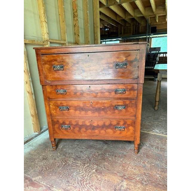 American Antique Federal Style Burled Wood Tiger Maple Chest of Drawers For Sale - Image 3 of 18