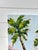 Contemporary Palm Tree Painting For Sale In Charleston - Image 6 of 6