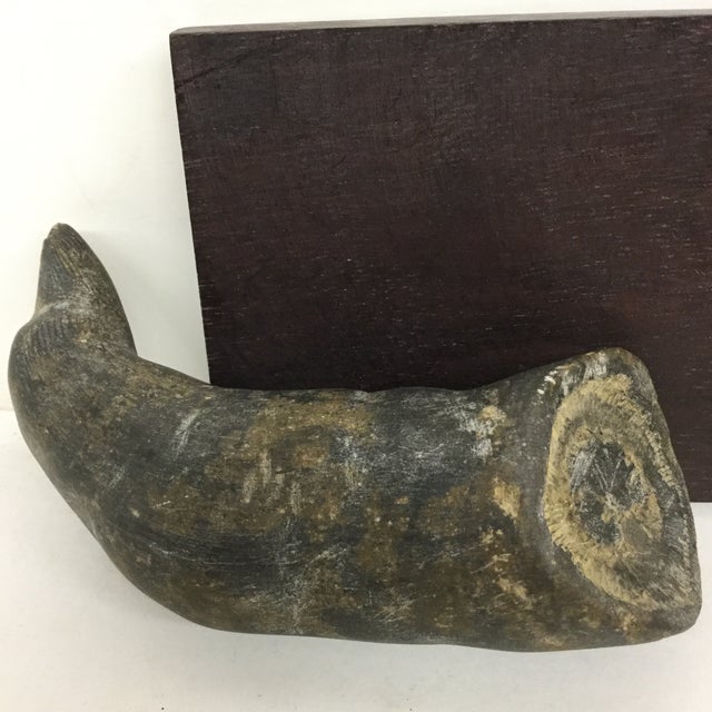 Calcified Natural Horn Decoration Piece Chairish