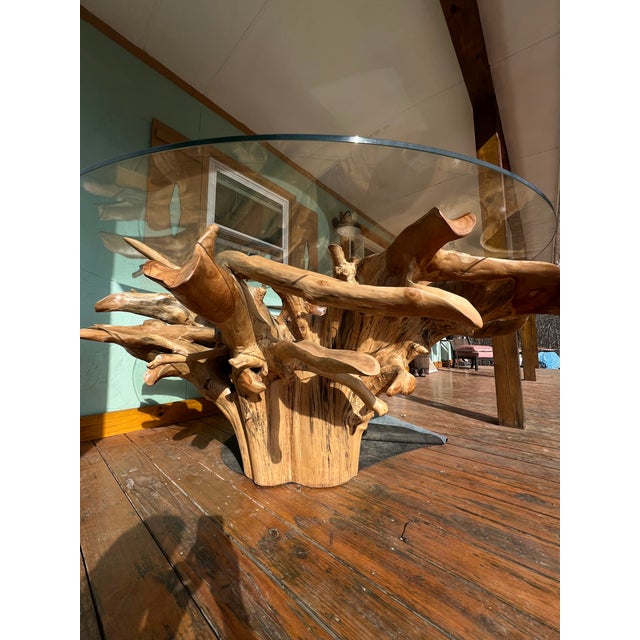 Contemporary Massive Teak Root Table W/ Removable Glass Top For Sale - Image 3 of 8