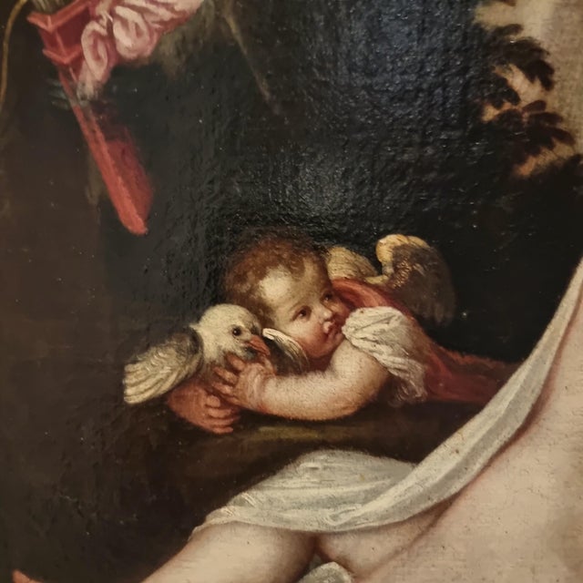 Alessandro Varotari, Nude Venus, 1620, Oil Painting on Canvas, Framed For Sale - Image 8 of 17