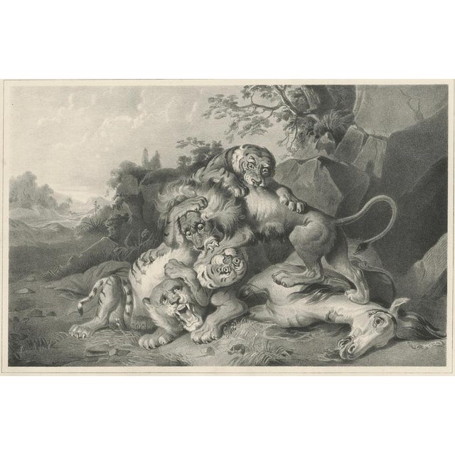Raden Saleh, Tigers & Lions Fight Horse, Lithograph, 1845 For Sale - Image 6 of 10