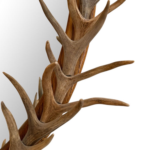 Brown Whitetail Deer Antler Framed Mirror For Sale - Image 8 of 11