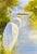 Original oil on canvas by P. Charles, circa 2017. A beautifully executed original oil painting of a white egret standing...