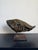 1980s Brazilian Modernist Fossilized Bronze Fish Sculpture on Steel Base by Mário Agostinelli, 1980s For Sale - Image 5 of 14
