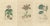 Mid 19th Century Drapiez, Heritage Blossoms, 1845, Hand-Colored Engravings, Set of 3 For Sale - Image 5 of 6