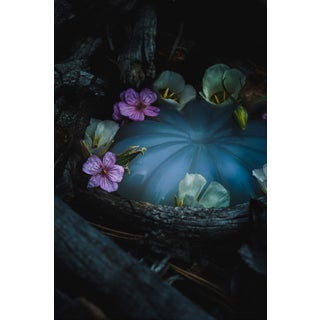 Untitled Jelly I by Jenya Chernoff | Giclée print on fine art paper Jelly surrounded by flowers and wood. For Sale
