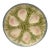 French Majolica Oyster Plate Choisy-Le-Roi, Circa 1880 For Sale