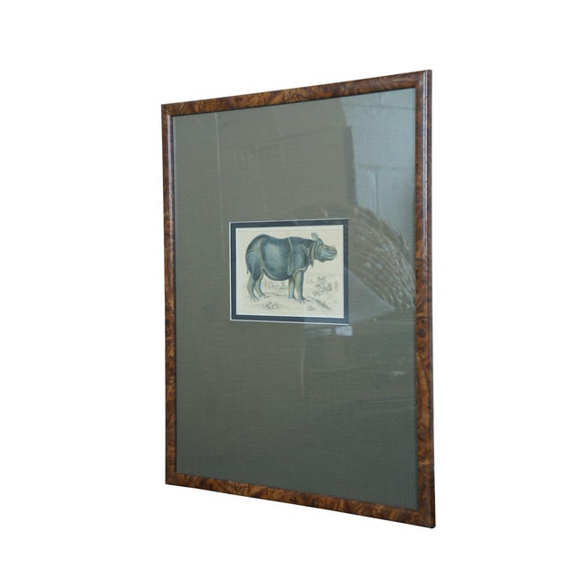 English Antique 1842 English Fullarton African Rhino Rhinoceros Engraving, Framed For Sale - Image 3 of 10