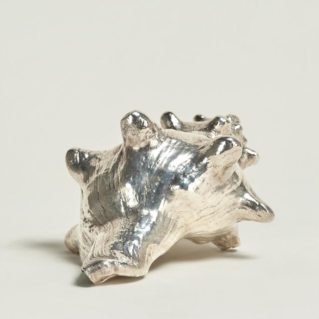 Lofty silver coated organic seashell with enhanced sculptural elements. Stamped Federico Buccellati 999.