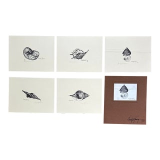 Vintage Carolyn T. Young Signed Seashell Prints, Set of 5 With Original Portfolio For Sale