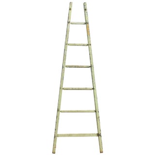 Vintage French Painted Ladder, 1950s For Sale