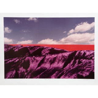 Purple Majesty, Michael DeCamp Photograph For Sale