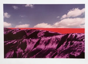 Purple Majesty, Michael DeCamp Photograph