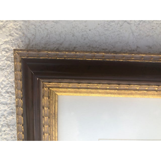 Late 19th Century Cassell & Co Framed Lithograph Prints of Poultry, Set of 4 For Sale - Image 4 of 7