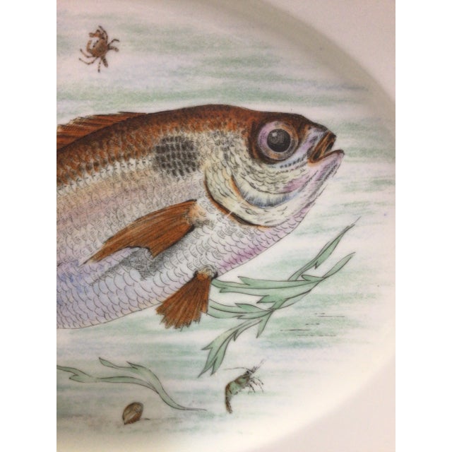 White Hand Painted Porcelain Fish Serving Platter by J K W West German 1930's For Sale - Image 8 of 12