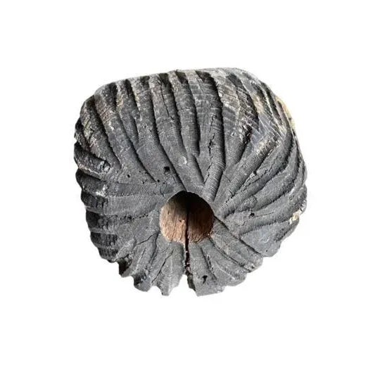 Early 20th Century Early 20th Century Folk Art Beehive Tree Trunk Head For Sale - Image 5 of 7