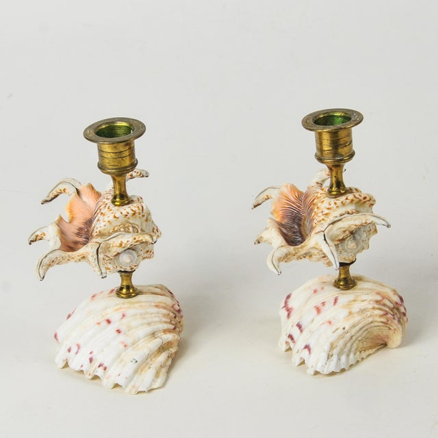 Vintage Natural Seashell and Brass Candlestick Holder Pair For Sale - Image 4 of 13