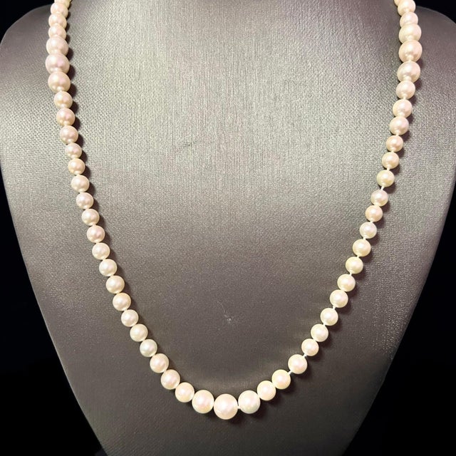 Akoya Pearl Necklace 28.5" 14k Gold 8.50 mm Certified For Sale - Image 11 of 12