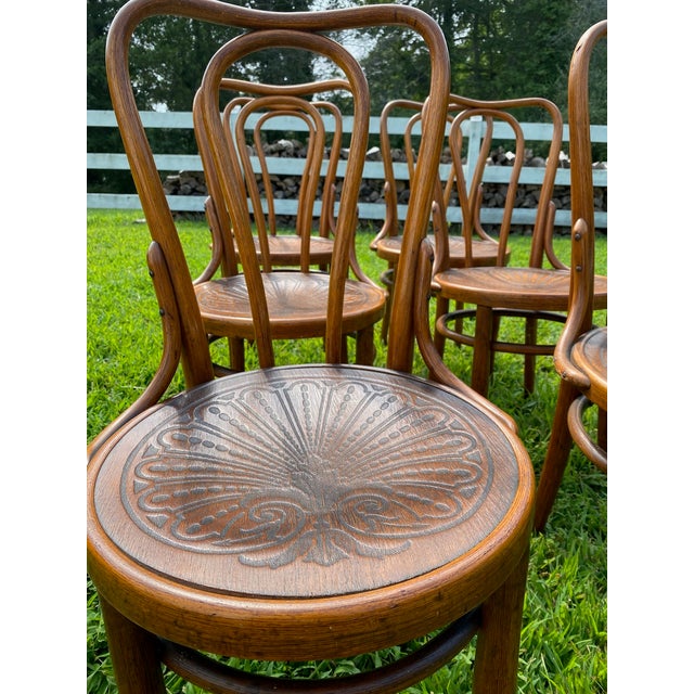 Traditional 1895-1914, J&j Kohn Bentwood Chairs, Pre-Thonet Sequentially Numbered For Sale - Image 3 of 6