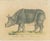 Brodtmann, Indian Rhinoceros (Rhinoceros Unicornis), 1816, Lithograph For Sale - Image 9 of 9